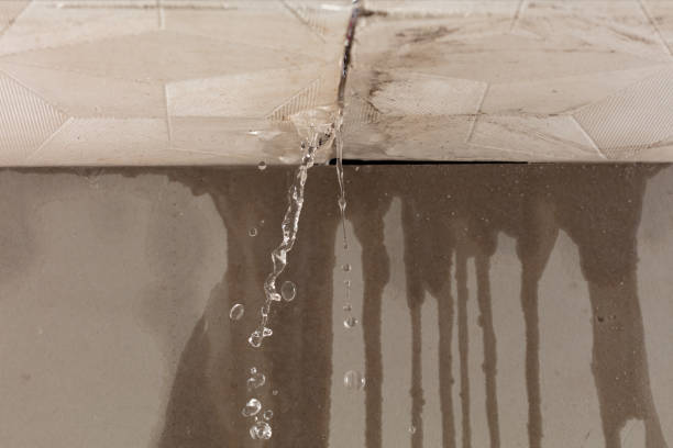 Professional Structural Drying technician working in Vermilion, OH